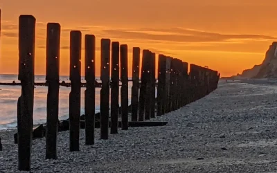 Listening Beneath the Behaviour