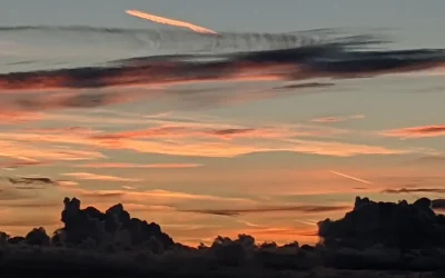 Adjusting to Divorce or Separation