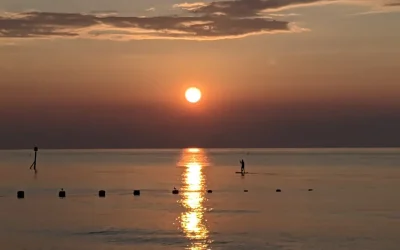 Working Systemically in Therapy