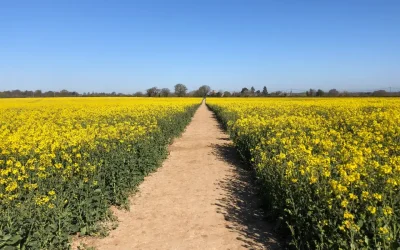 Coping with Illness, Job Loss or Major Life Change